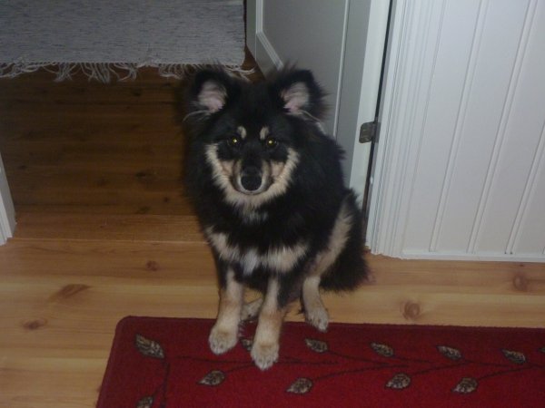 5. Mallis 7 mån.JPG