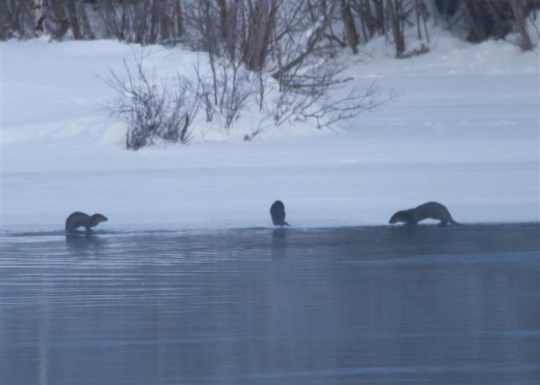 IMG_4681 (Large).jpg