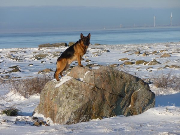 2012-12-12 11.11.29.jpg