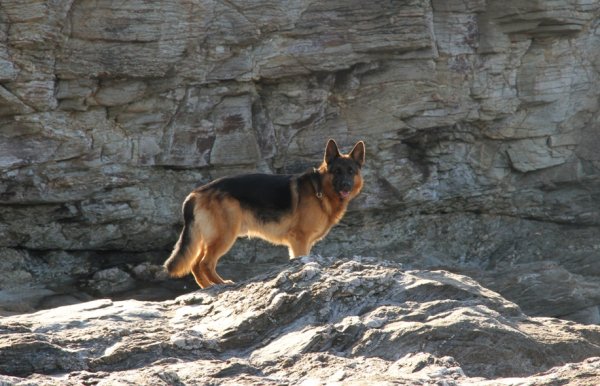 Frankrike 2012 - 1 461 - Kopia.JPG