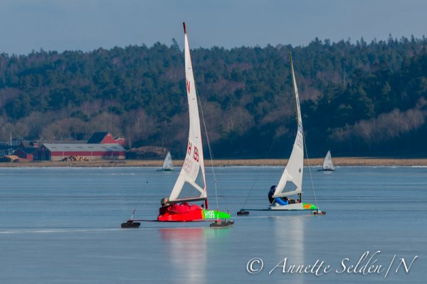 130224.001.jpg 130224.001.jpg