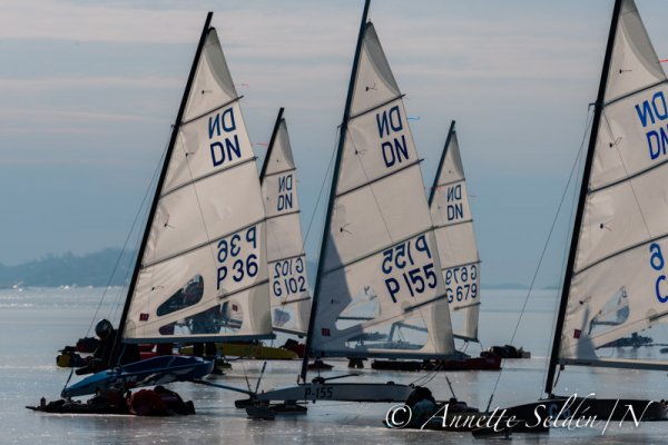 130224.025.jpg 130224.025.jpg