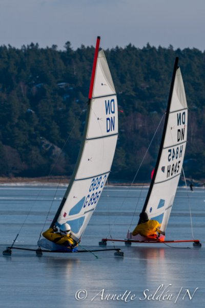 130224.027.jpg 130224.027.jpg