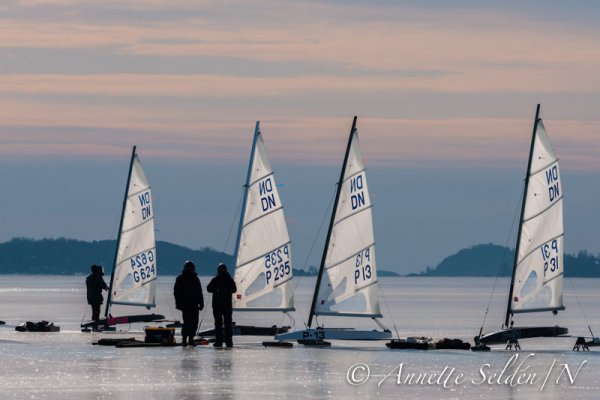 130224.053.jpg 130224.053.jpg