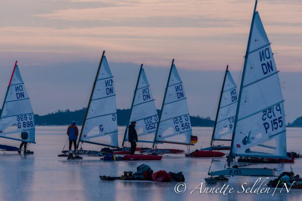 130224.082.jpg 130224.082.jpg