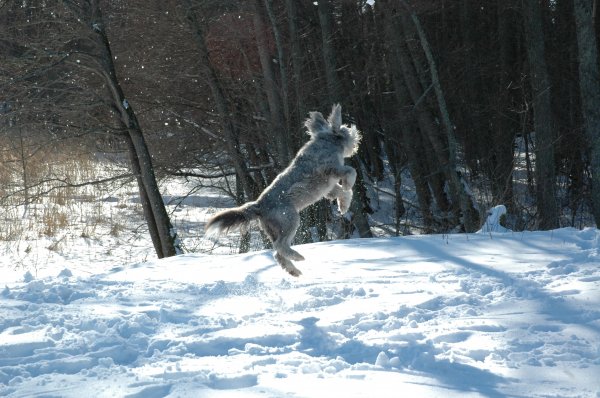 DSC_6499.JPG DSC_6499.JPG