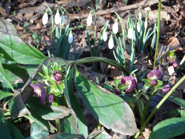 SAM_0202.JPG SAM_0202.JPG