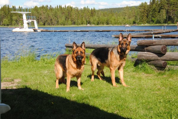 sommer 4 004.JPG sommer 4 004.JPG