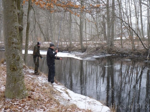 P1090434.jpg P1090434.jpg