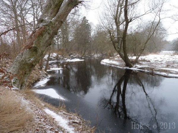 P1090436.jpg P1090436.jpg