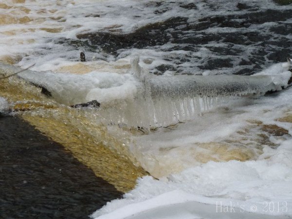 P1090447.jpg P1090447.jpg