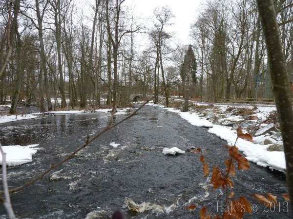 P1090457.jpg P1090457.jpg