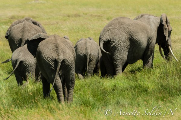 130208.2048.jpg 130208.2048.jpg