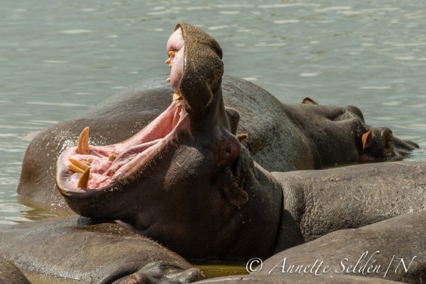 130208.2134.jpg 130208.2134.jpg