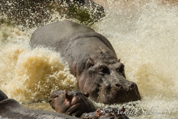 130208.2208.jpg 130208.2208.jpg