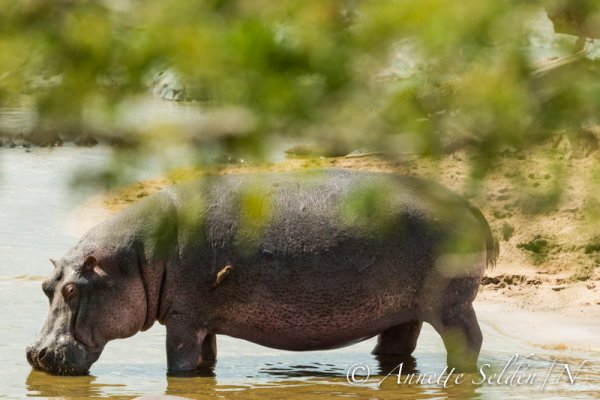 130208.2241.jpg 130208.2241.jpg