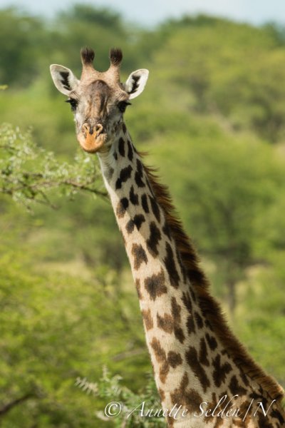 130208.2273.jpg 130208.2273.jpg