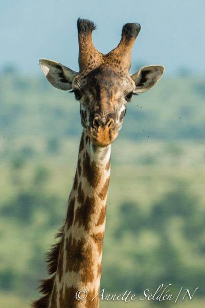 130208.2350.jpg 130208.2350.jpg