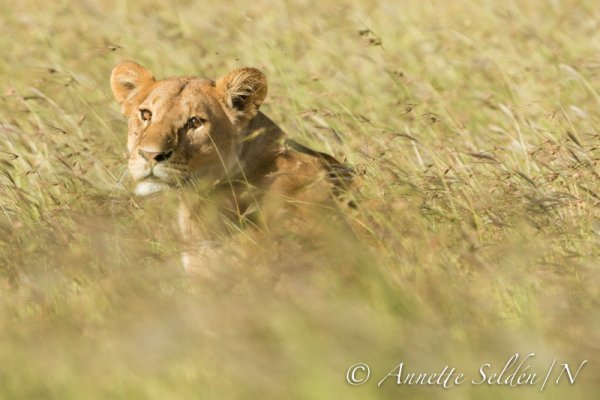 130208.2367.jpg 130208.2367.jpg