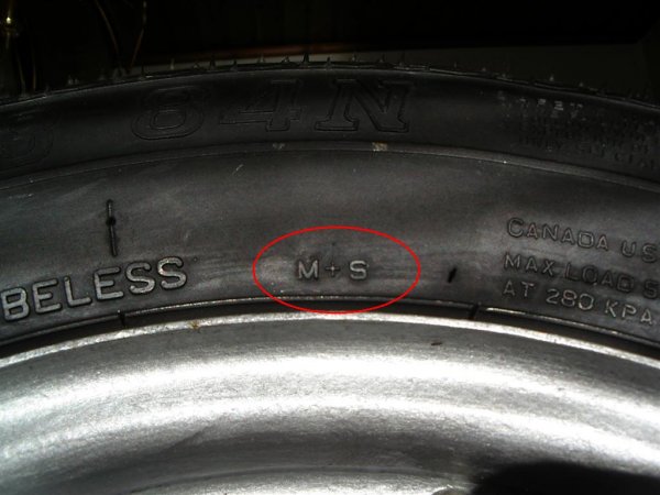 IMGP3443 (Medium).JPG