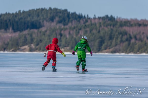 130323.062.jpg 130323.062.jpg