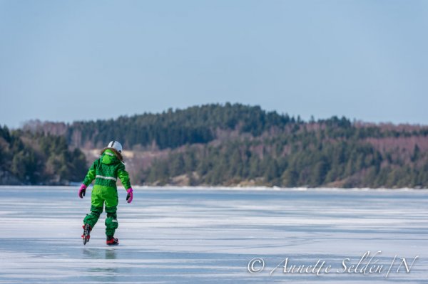 130323.081.jpg 130323.081.jpg