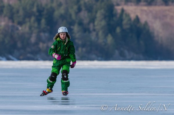 130323.087.jpg 130323.087.jpg