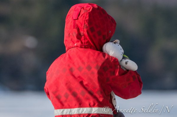 130323.103.jpg 130323.103.jpg