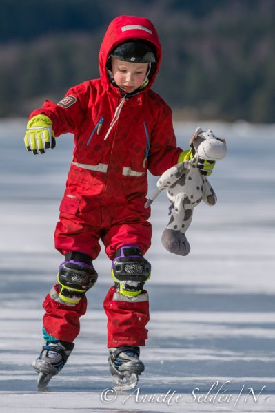 130323.117.jpg 130323.117.jpg