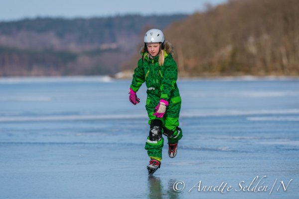 130323.163.jpg 130323.163.jpg