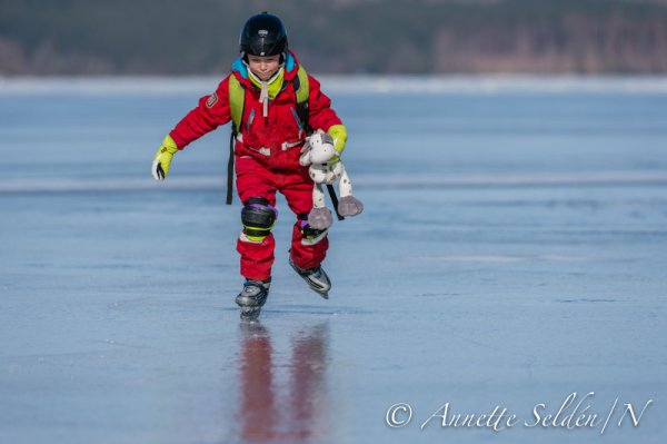 130323.180.jpg 130323.180.jpg