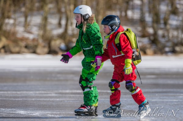 130323.234.jpg 130323.234.jpg