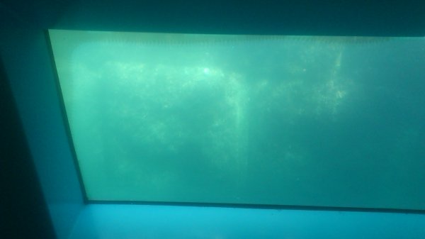 2013-03-27 12.11.47.jpg