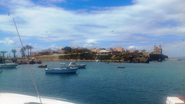 2013-03-27 12.14.55.jpg