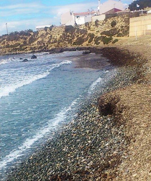 2013-03-27 12.24.06.jpg