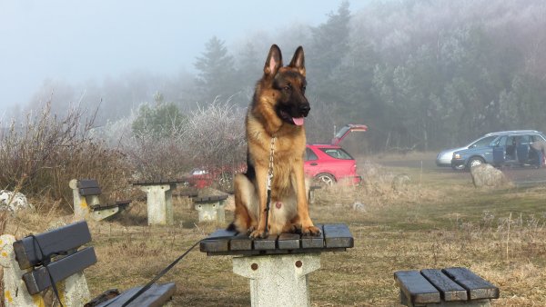 100_3275 - Kopia (2).JPG