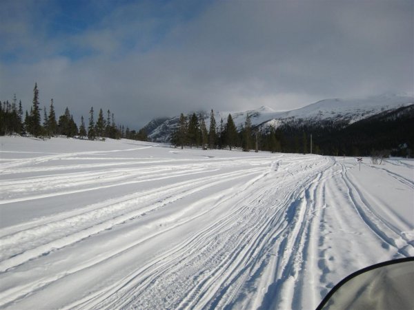 för hbk 005 (Large).jpg