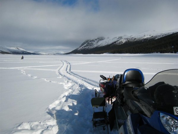 för hbk 009 (Large).jpg