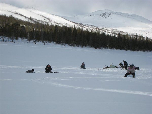 för hbk 006 (Large).jpg