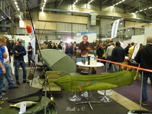 P1090561.JPG P1090561.JPG