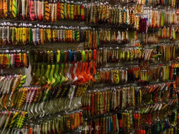 P1090573.JPG P1090573.JPG