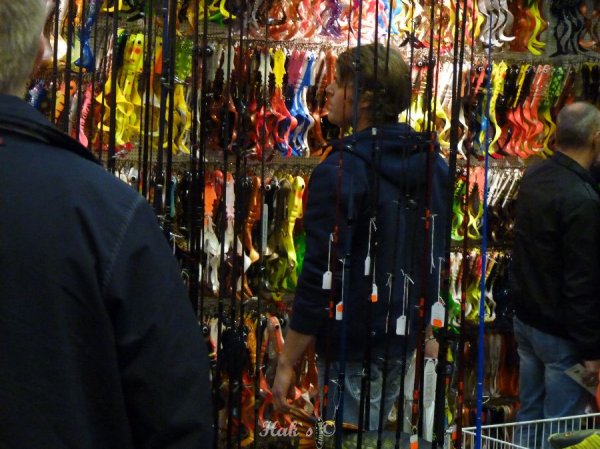 P1090574.JPG P1090574.JPG