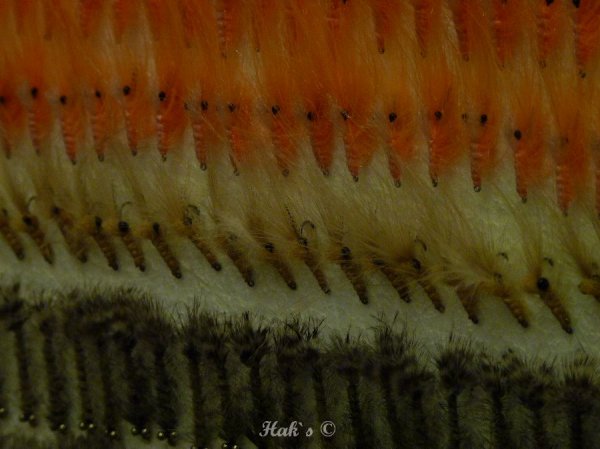 P1090578.JPG P1090578.JPG