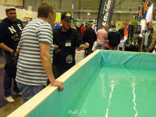 P1090583.JPG P1090583.JPG