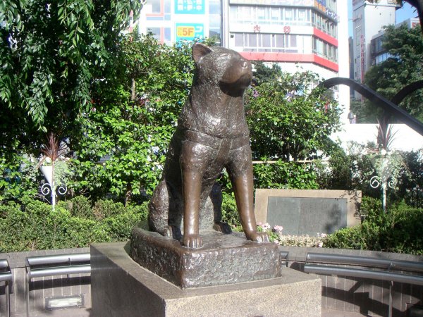 hachiko-statue.jpg hachiko-statue.jpg