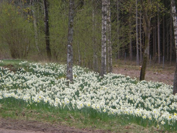 Bildgåta april 2013.JPG