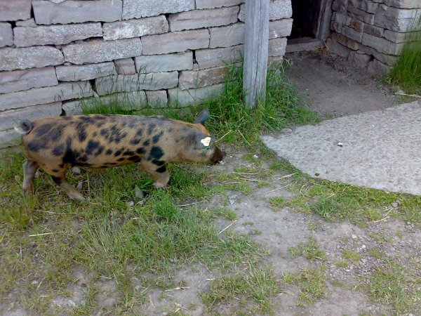 20100615137.jpg