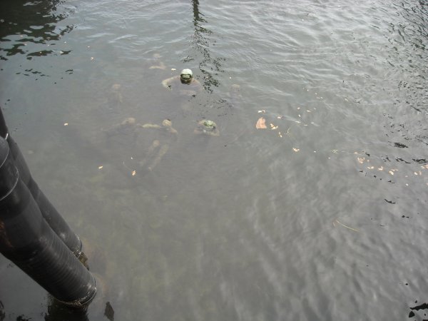 DSCN0202.JPG