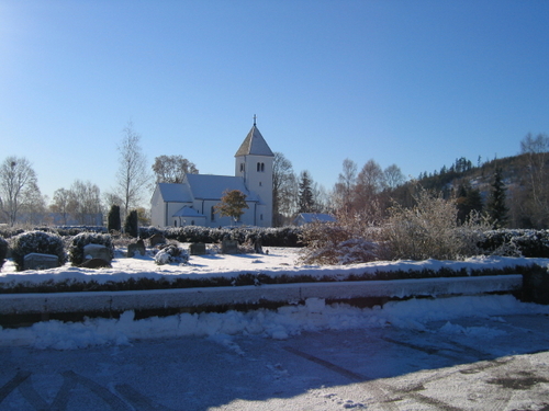12126884.jpg