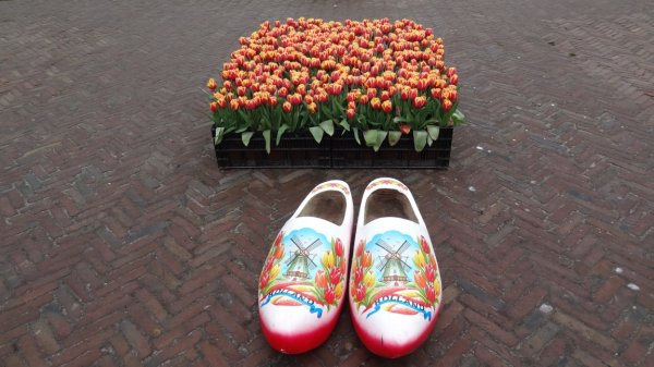 DSC02401-b.JPG DSC02401-b.JPG